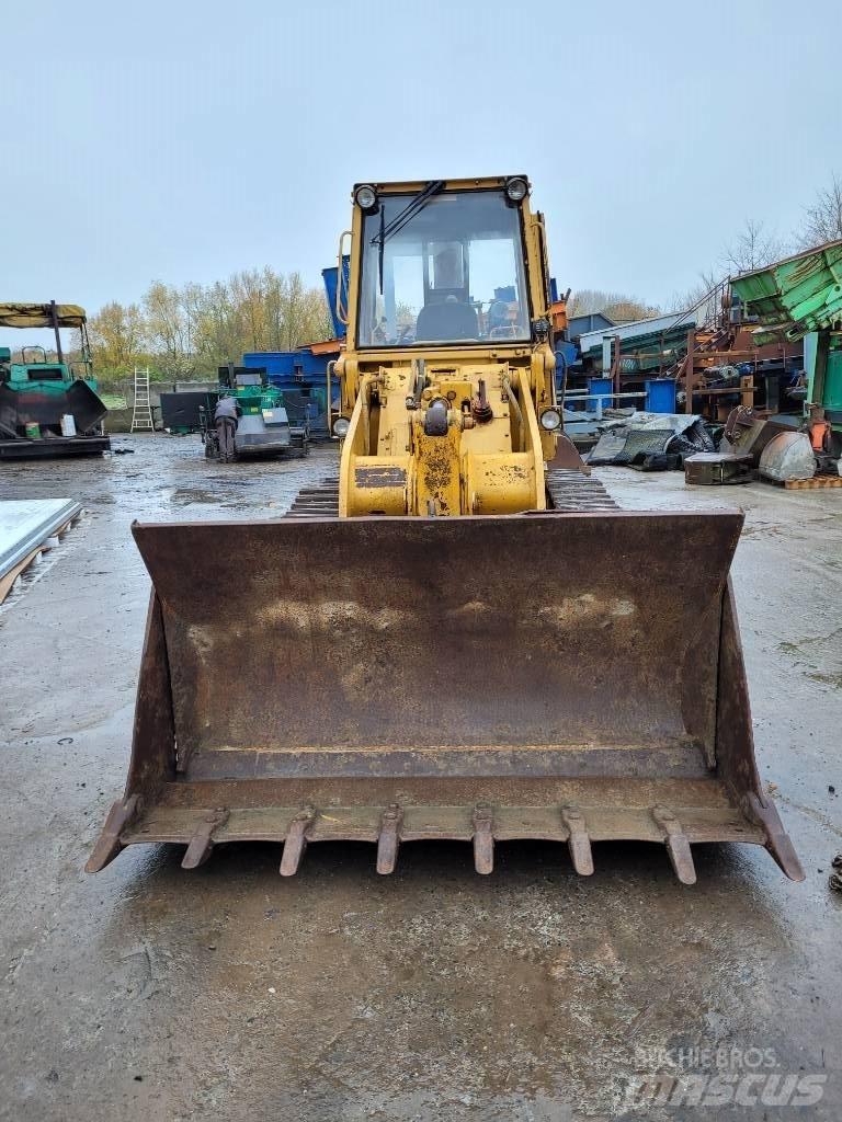 CAT 953 Pale cingolate
