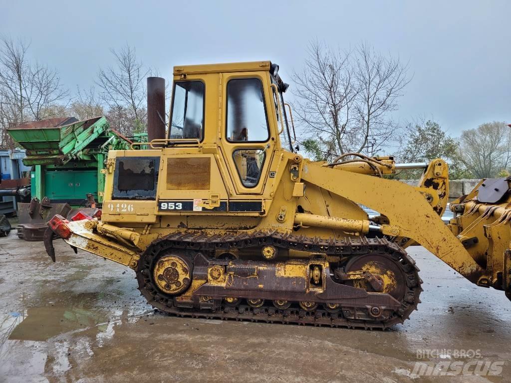 CAT 953 Pale cingolate