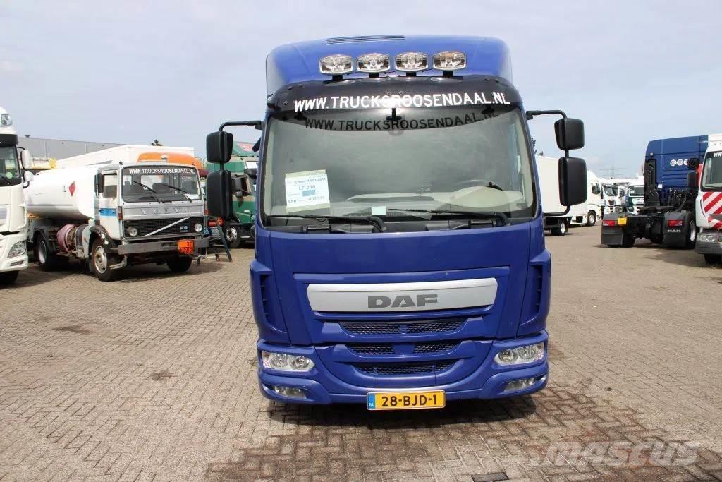 DAF LF 230 + EURO 6 Camion cassonati