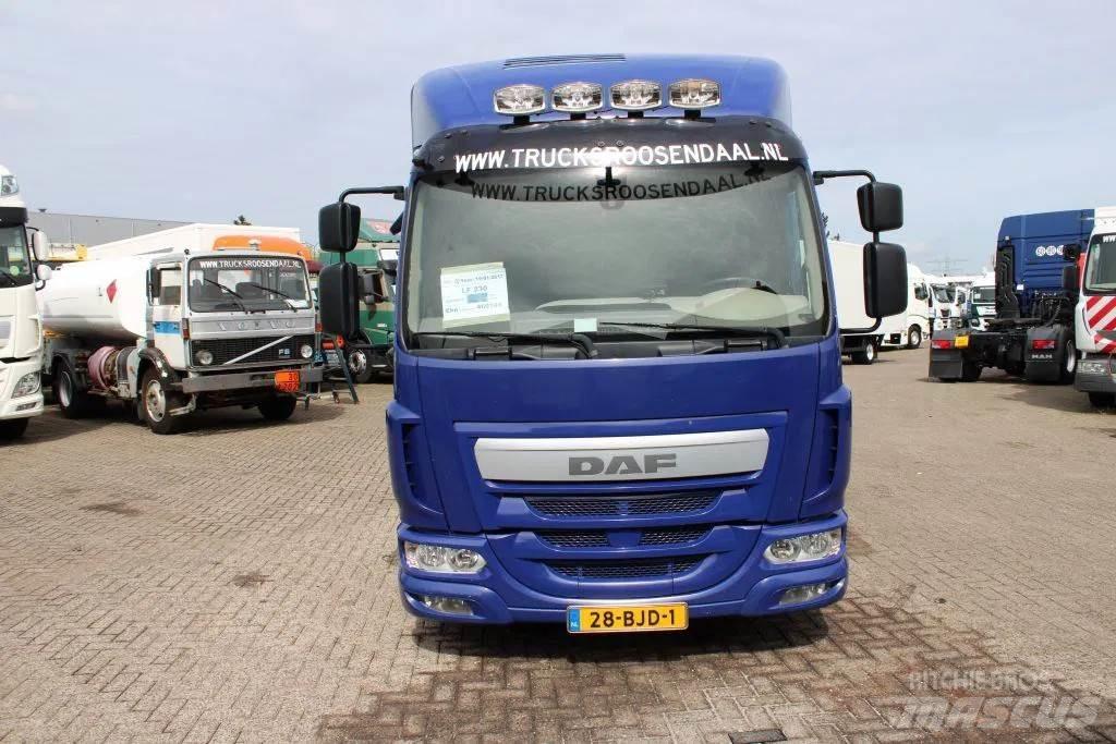 DAF LF 230 + EURO 6 Camion cassonati