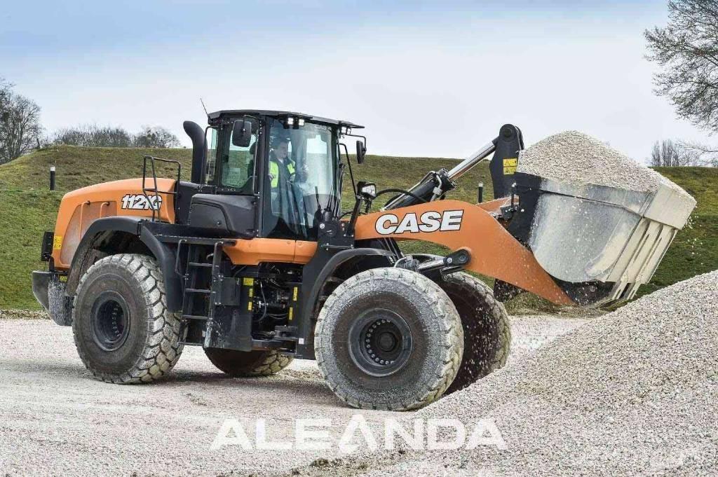 CASE 1121 F Pale gommate