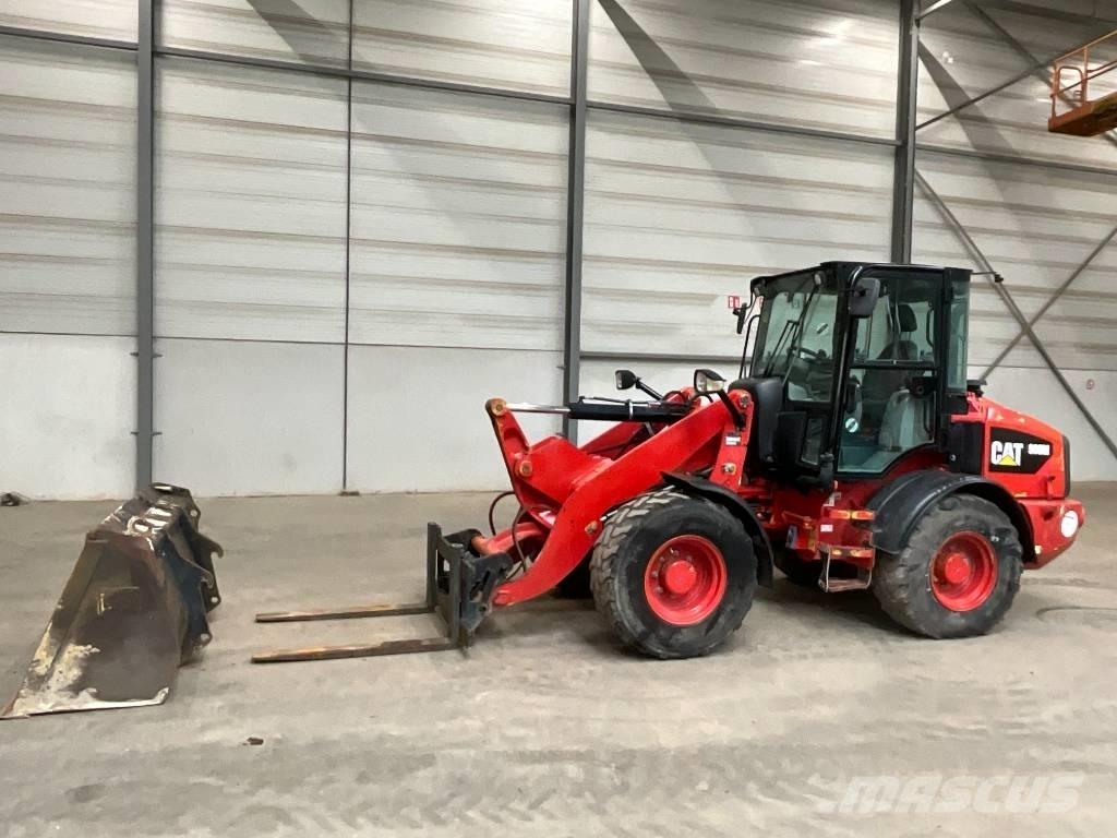 CAT 908 M Pale gommate