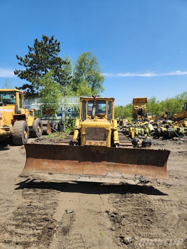 CAT D 6 Dozer cingolati