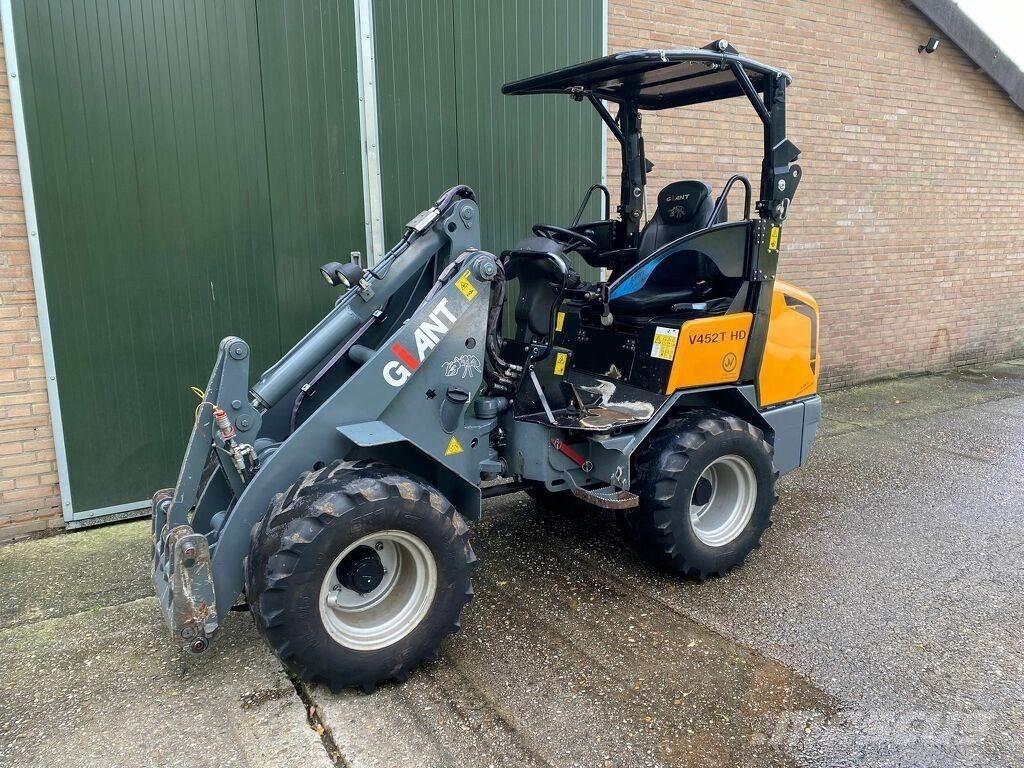 GiANT 452thd Pale gommate