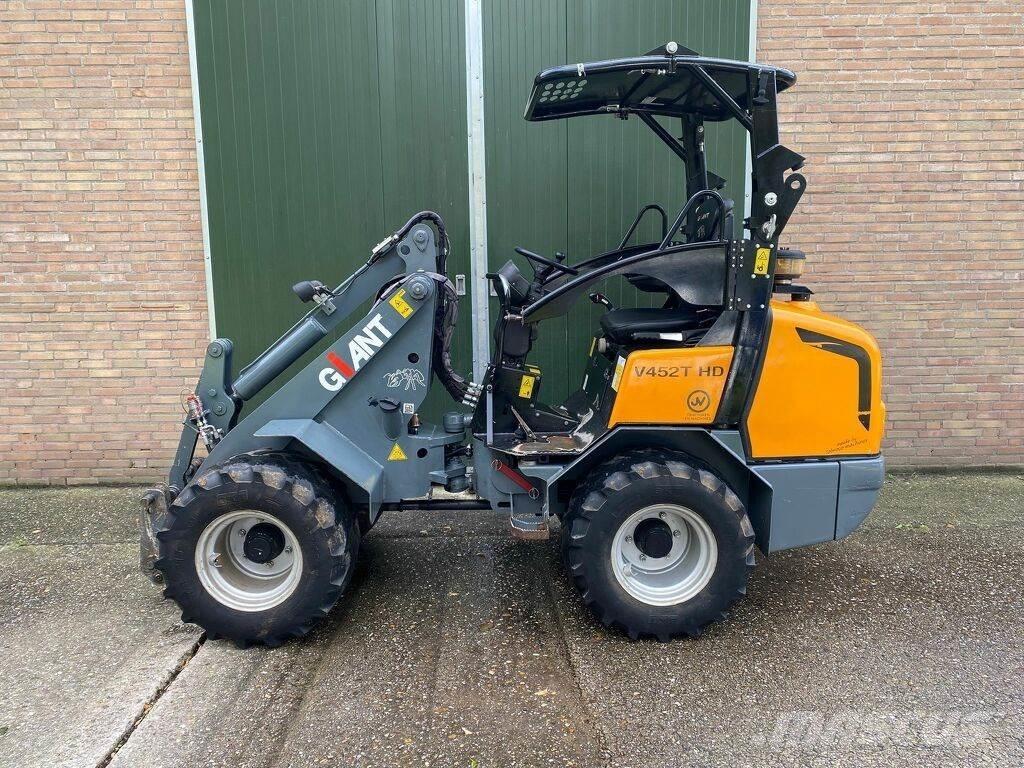 GiANT 452thd Pale gommate