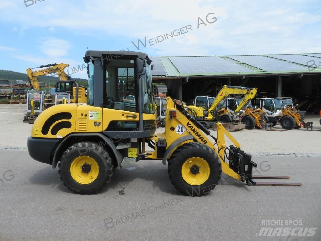 Yanmar V 65 Pale gommate
