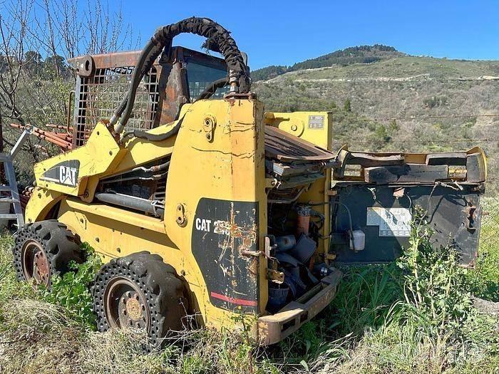 CAT 248 Mini pale