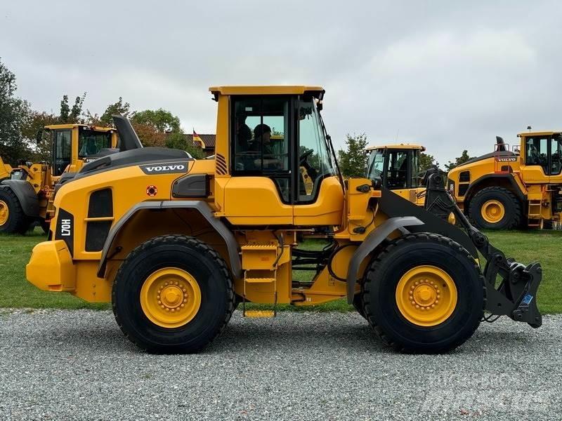Volvo L 70 H Pale gommate