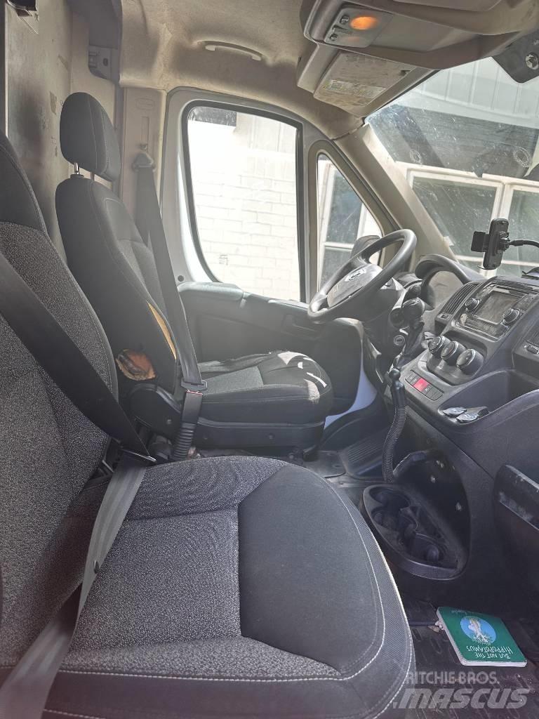 Dodge promaster Camion cassonati