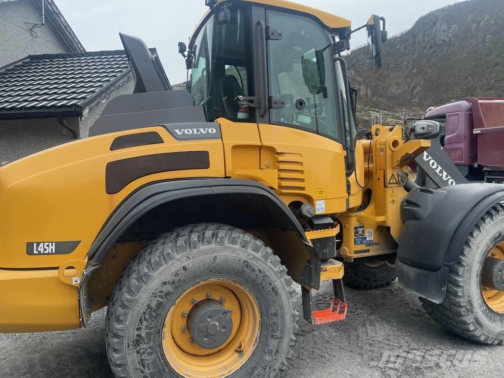 Volvo L 45 H Pale gommate