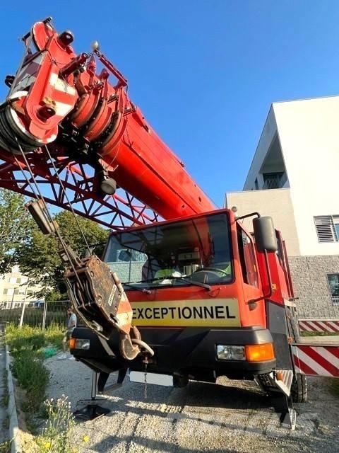 Liebherr LTM 1030-2 Gru per terreni difficili