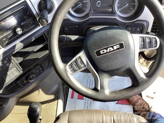 DAF XF 480 Motrici e Trattori Stradali