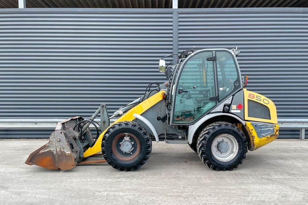 Kramer 346 Pale gommate