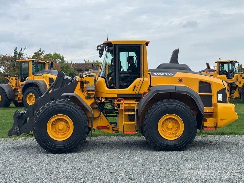 Volvo L 110 H Pale gommate