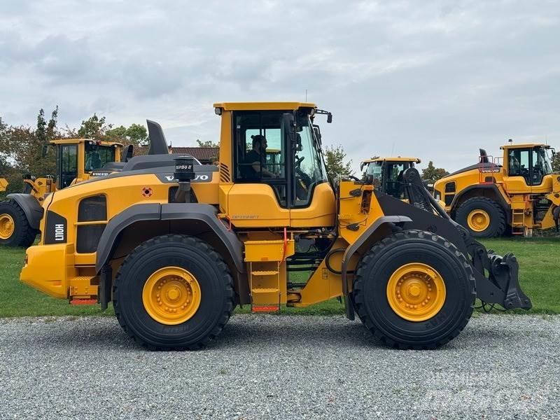 Volvo L 110 H Pale gommate
