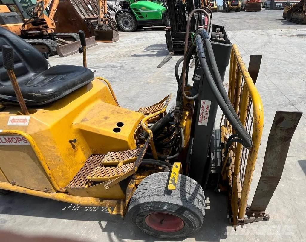 Rollmops Onbekend Pale gommate