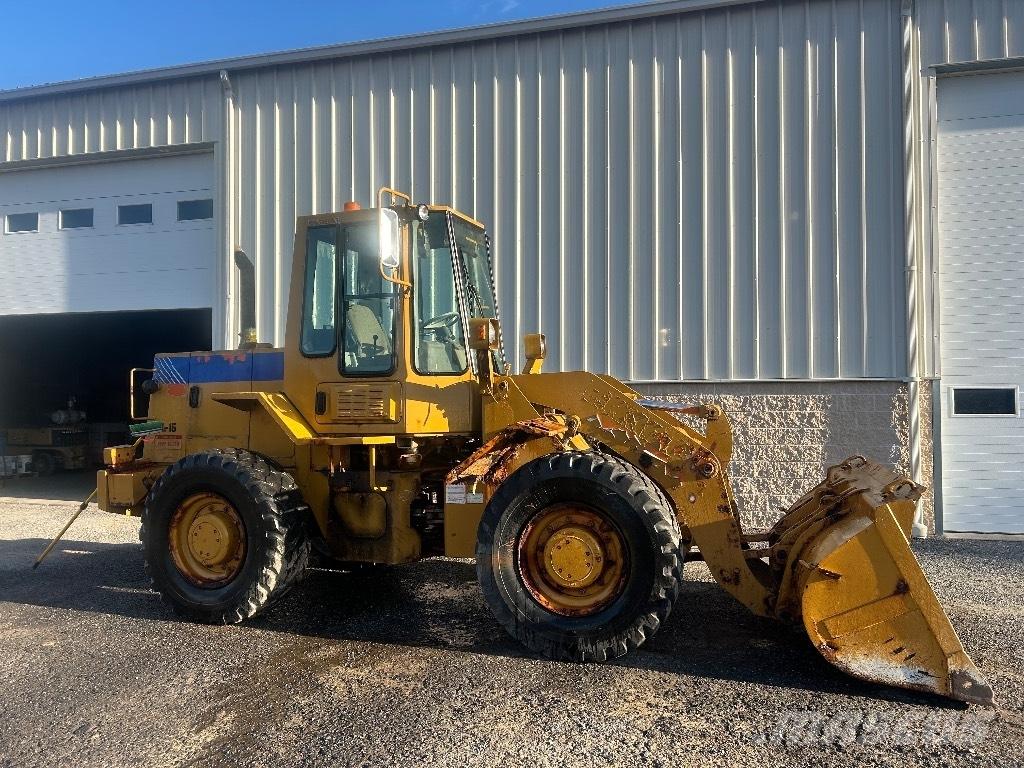 Fiat-Hitachi FR 100 Pale gommate