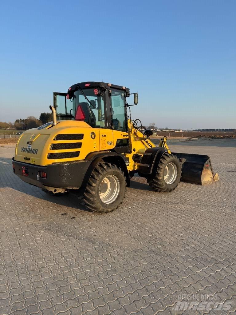 Yanmar V 120 Pale gommate