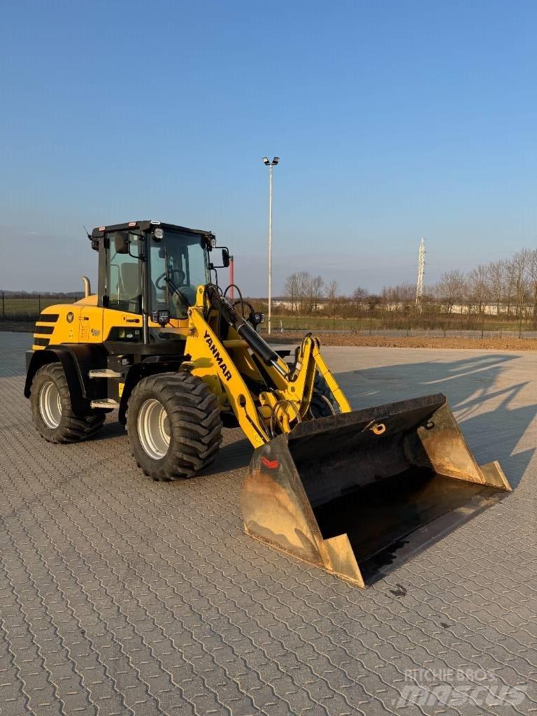 Yanmar V 120 Pale gommate