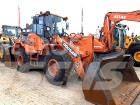 Develon DL250-3 Pale gommate