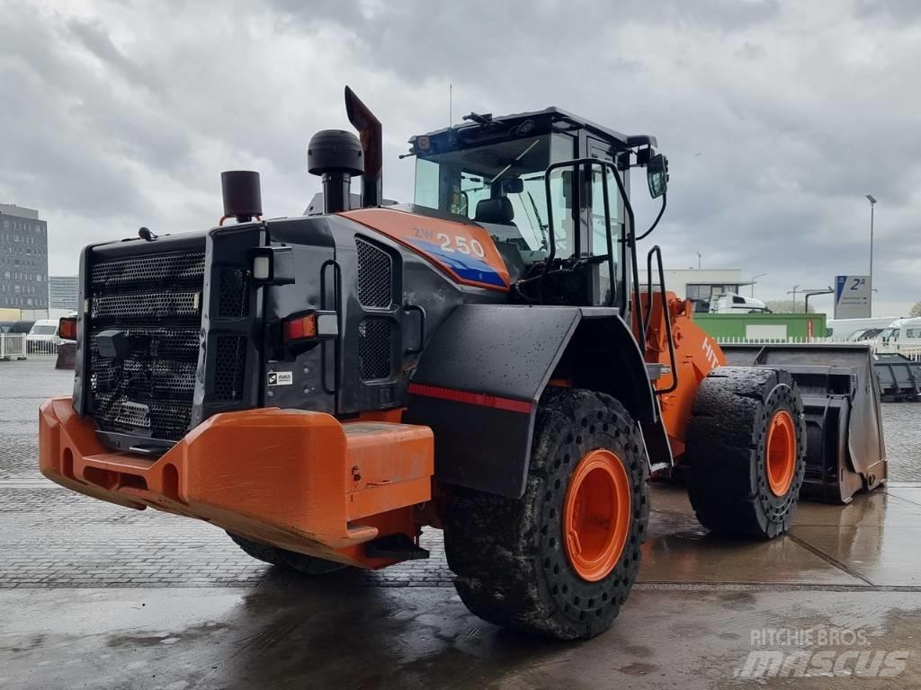 Hitachi ZW 250 Pale gommate