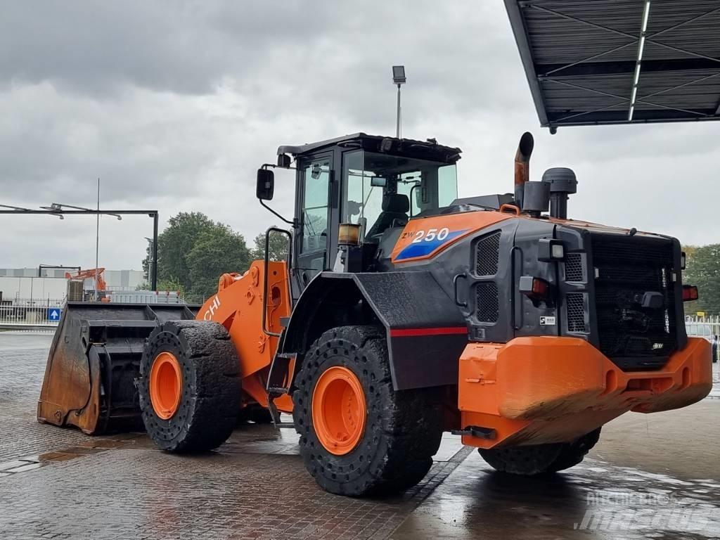 Hitachi ZW 250 Pale gommate