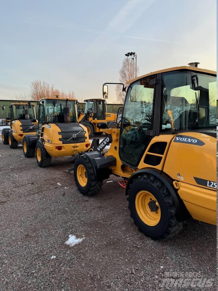 Volvo L 25 F Pale gommate