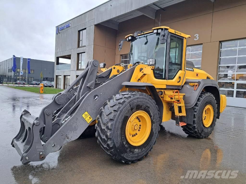 Volvo L 110 H Pale gommate