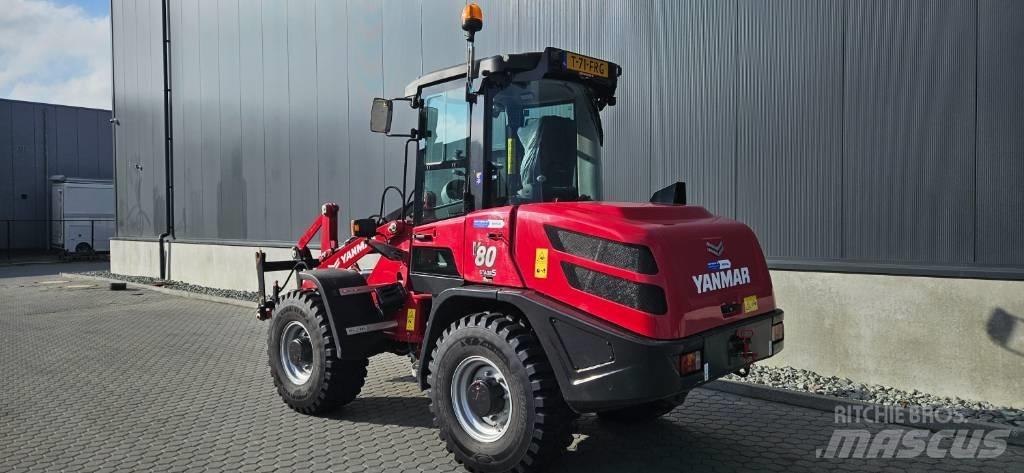 Yanmar V 80 Pale gommate