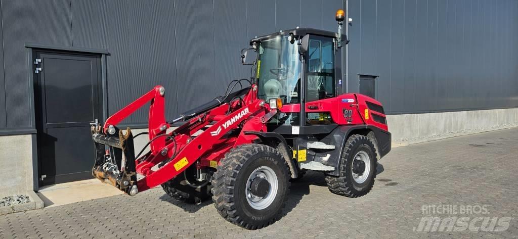 Yanmar V 80 Pale gommate