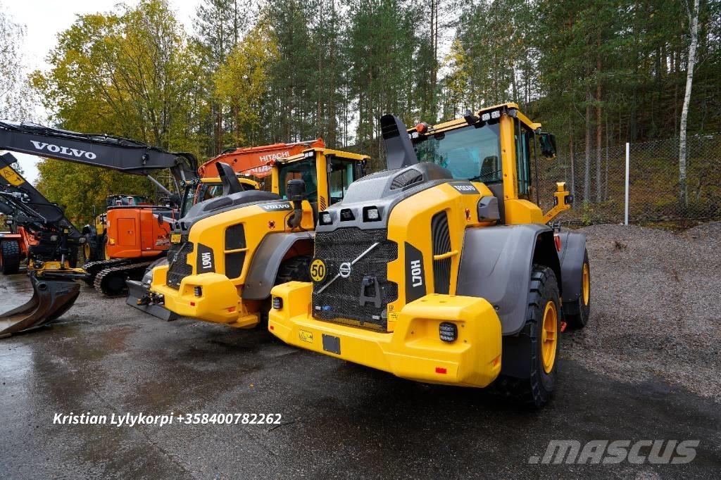 Volvo L70H2 Pale gommate
