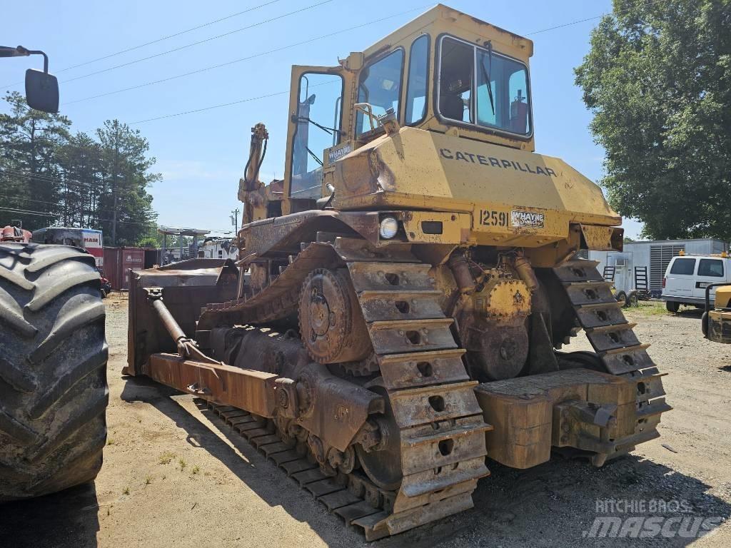 CAT D8N Dozer cingolati