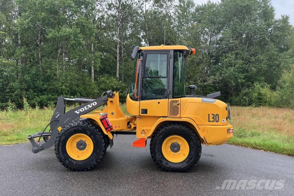 Volvo L 30 Pale gommate