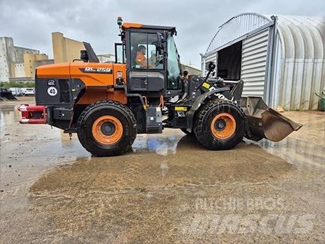 Doosan DL 250-7 Pale gommate