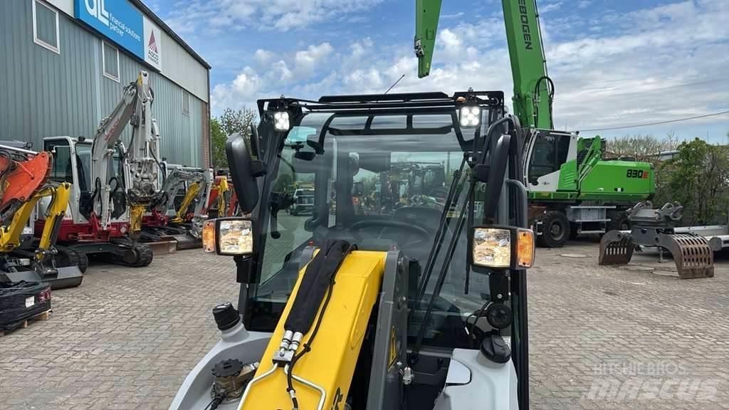 Kramer 5040 Pale gommate