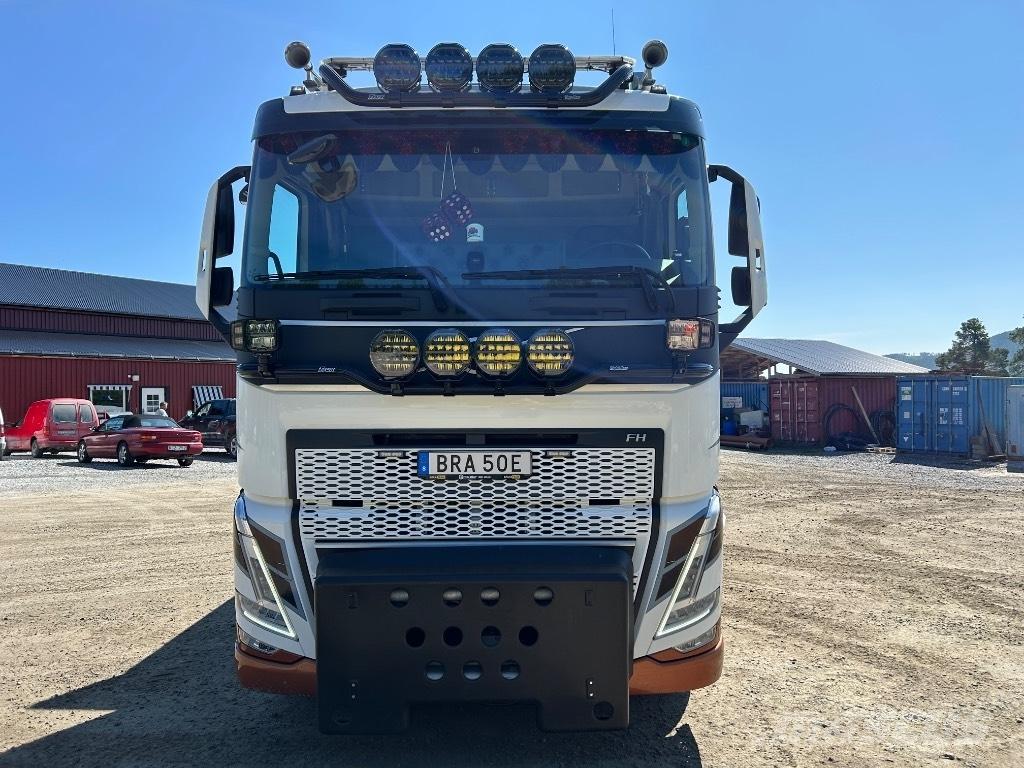 Volvo FH 540 Camion con gancio di sollevamento