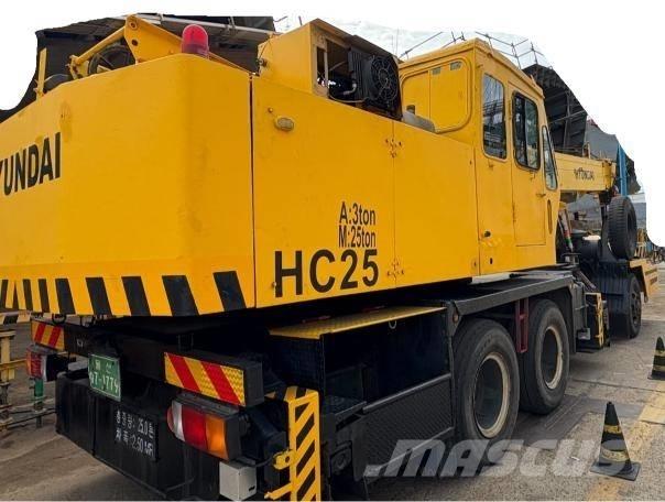 Hyundai HC 25 Gru cingolate