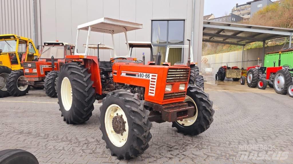 Fiat 80-66 DT Trattori
