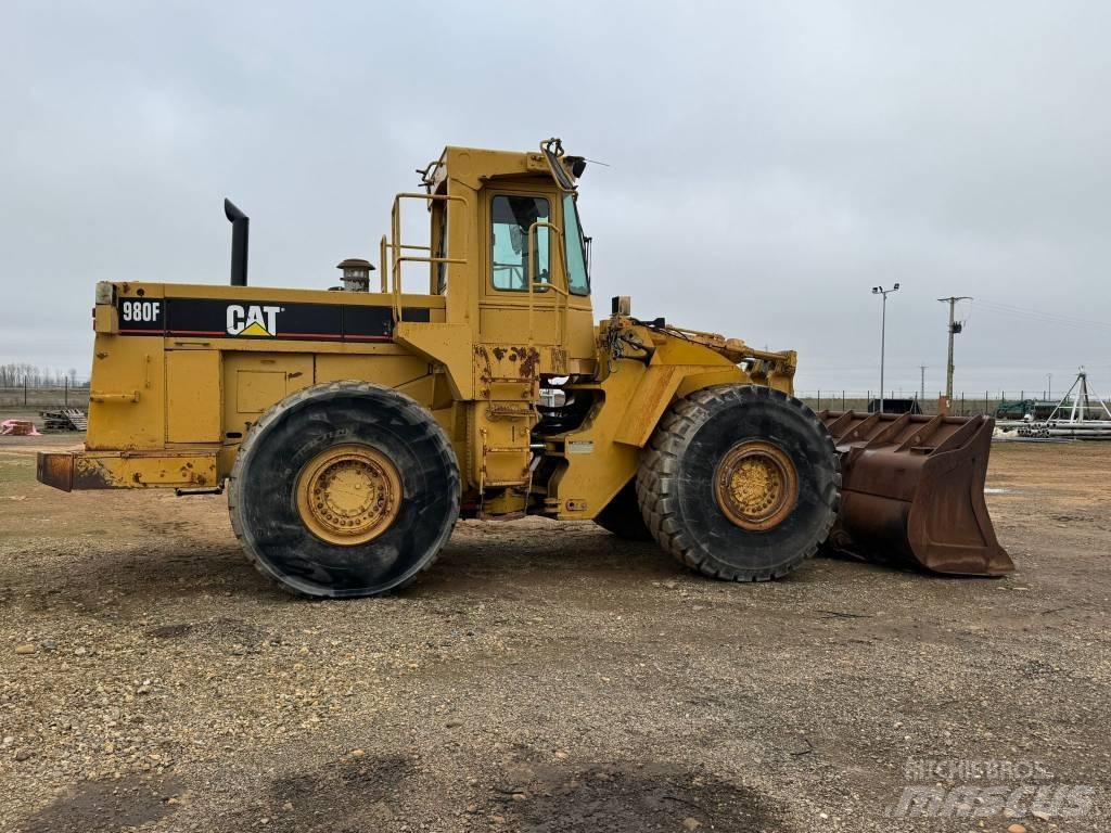 CAT 980 F Pale gommate