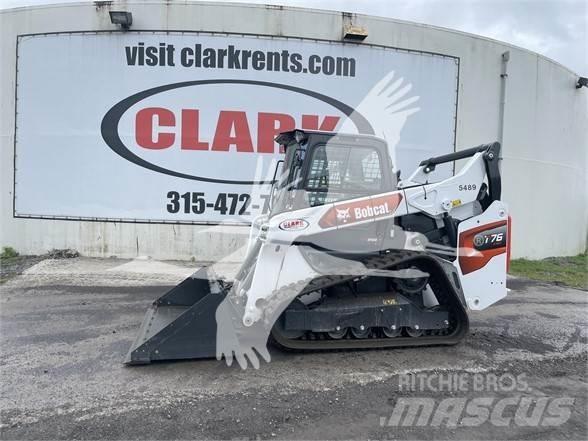 Bobcat T76 Mini Pale Gommate