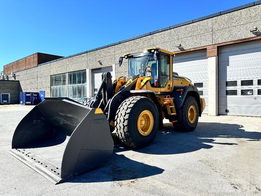 Volvo L110H 2024 Pale gommate