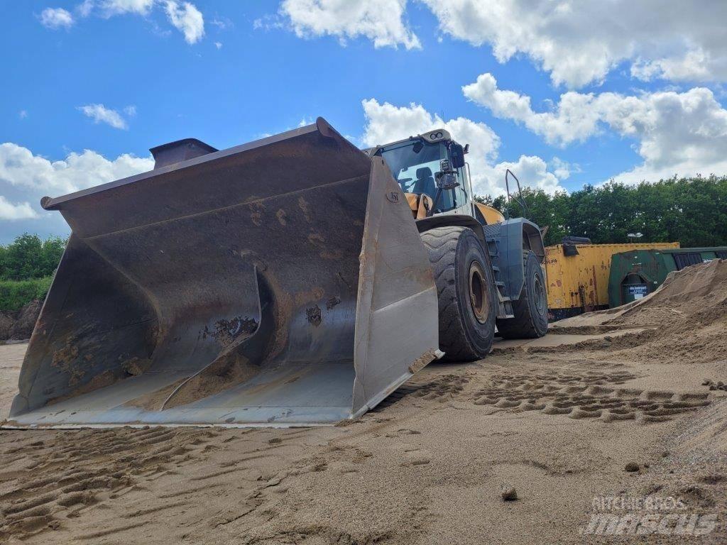 Liebherr L 586 Pale gommate