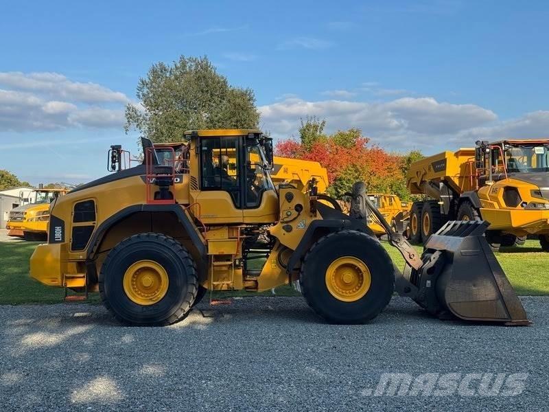 Volvo L 180 H Pale gommate