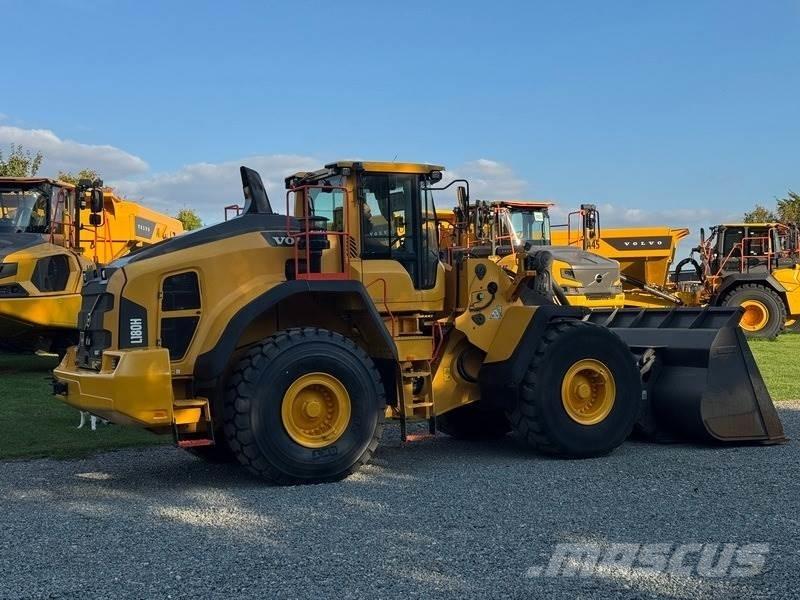 Volvo L 180 H Pale gommate