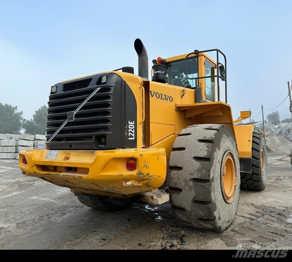 Volvo L 220 E Pale gommate