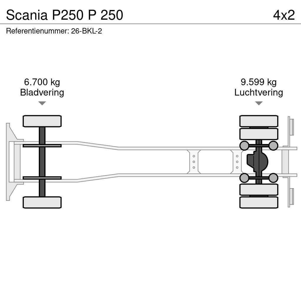 Scania P250 P 250 Camion cassonati