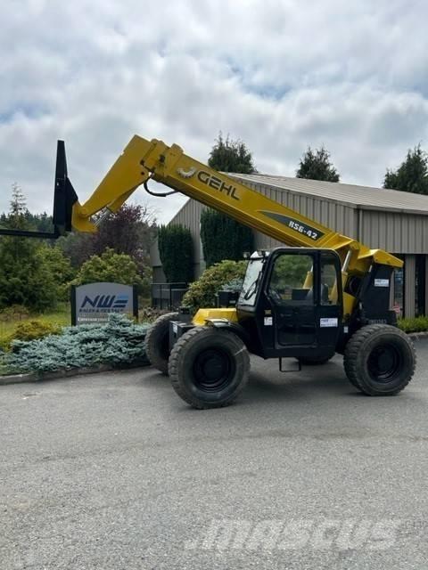 Gehl RS 6-42 Elevatore per esterni