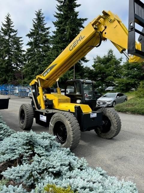 Gehl RS 6-42 Elevatore per esterni