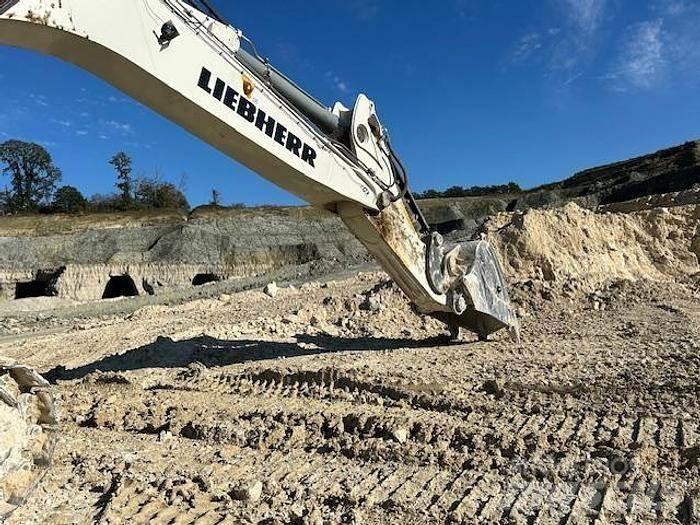 Liebherr R9100 Escavatori speciali