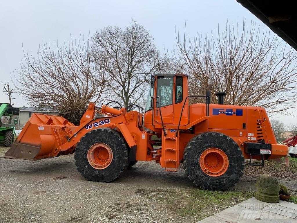 Fiat-Hitachi W230 Pale gommate